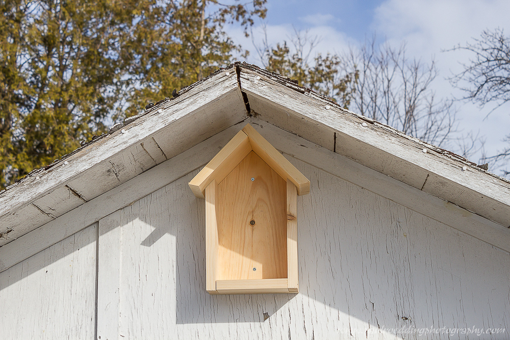 barn-swallow-birdhouse-plans