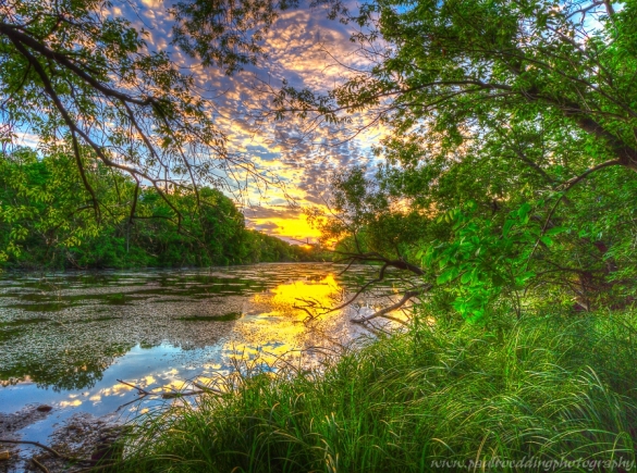 The Coves Sunset