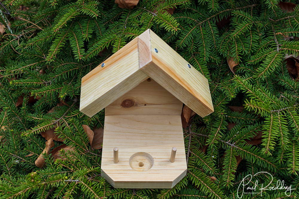 Hummingbird Nest Platforms • PAUL ROEDDING PHOTOGRAPHY