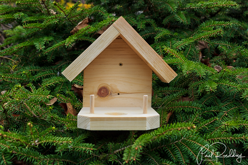 hummingbird nest box